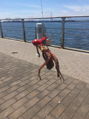 新子マダコ数釣り9杯♪