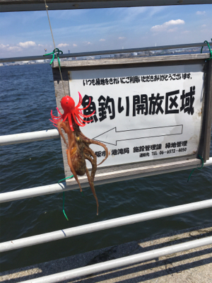 LSJ朝練するも。。相変わらず小サバ。。。