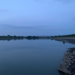 トップの季節になってきました！