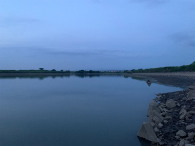 トップの季節になってきました！