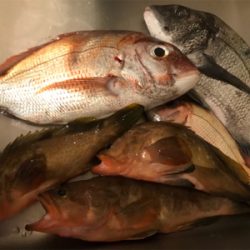 嵐のヒトツテンヤ