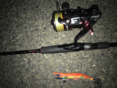 久しぶりのイカは…コウちゃんでしたσ(^_^;)