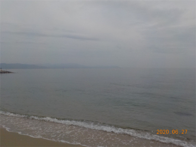 ピンギス絶好調