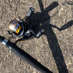 連日短時間アジング