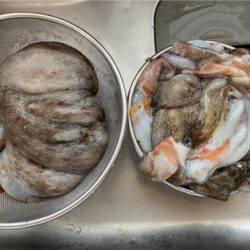 ショアタコで自己新!