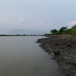 塩分濃度低く濁りが酷い