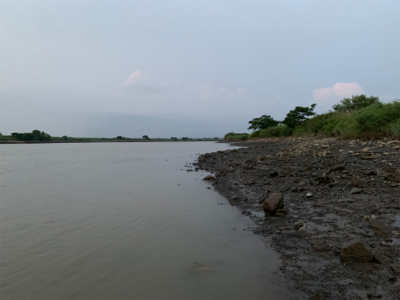 塩分濃度低く濁りが酷い