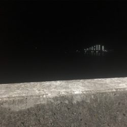 泳がせでハネが三匹