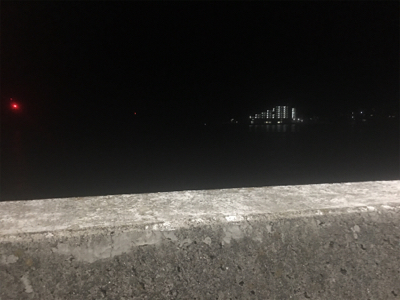 泳がせでハネが三匹