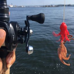 SSJならば小サバ♪珍しくタコ渋く。。。