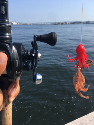 SSJならば小サバ♪珍しくタコ渋く。。。