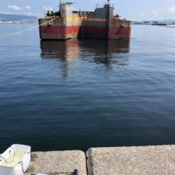 青物は何処へ…