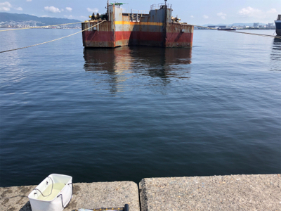 青物は何処へ…