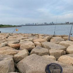 時合いは19時から