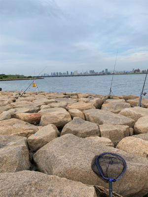 時合いは19時から