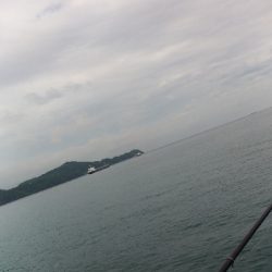 6/14釣果チヌ梅雨グレツバス小サバ豆アジ