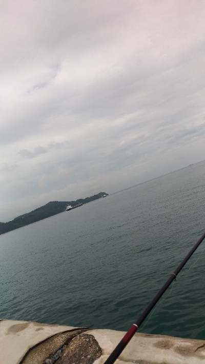 6/14釣果チヌ梅雨グレツバス小サバ豆アジ