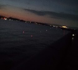 6/21釣果アイゴサンバソウチヌツバスグレアジ小サバチャリコ