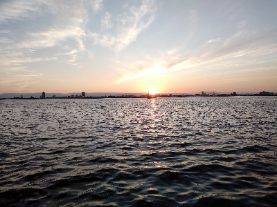 今週は落とし込みで黒鯛ゲット