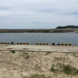 港内キスに豆アジ賑わってます