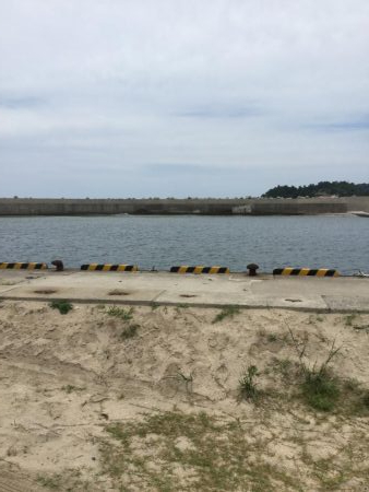 港内キスに豆アジ賑わってます