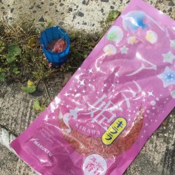 サビキアジ釣りサイズアップ