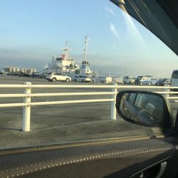 初の三重でアジ、サバ