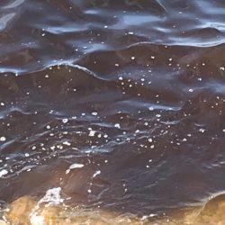 穴釣りしか釣れない