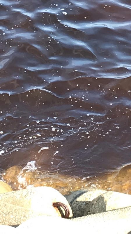 穴釣りしか釣れない