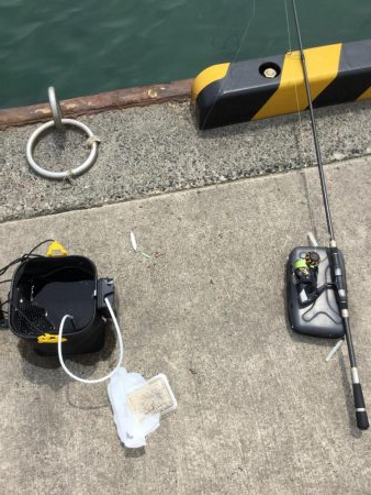 港内ちょい投げキス好調