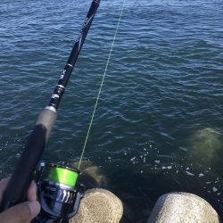 4目達成!今年初ドラゴン!