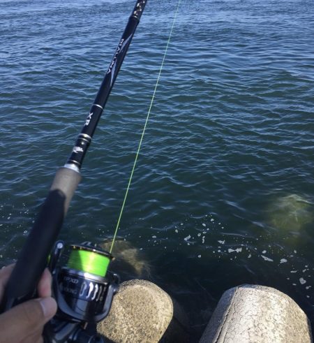 4目達成!今年初ドラゴン!