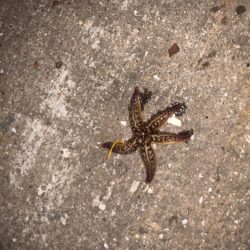 雨上がりのウキ釣り