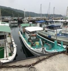 泉州丸さんで五目