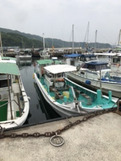 泉州丸さんで五目