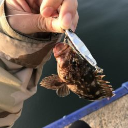 自粛明け１発目