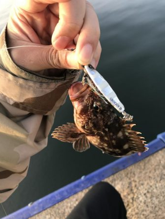 自粛明け１発目