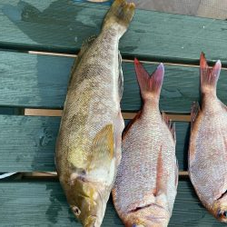 タイラバ渋かった