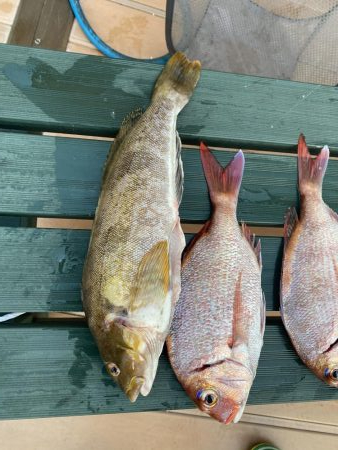 タイラバ渋かった