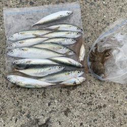 コロナ休み⇄釣り