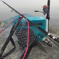 初❗️、、パート3