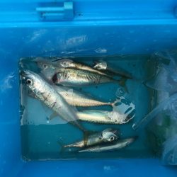 ファミリーフィッシング