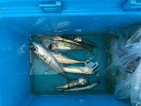 ファミリーフィッシング