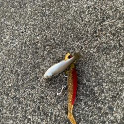 退かぬ！媚びぬ！省みぬ！