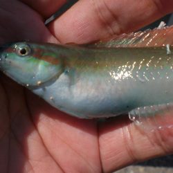 夫婦で市役所裏