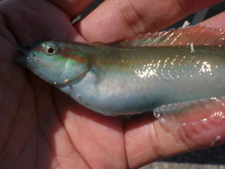 夫婦で市役所裏