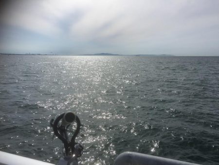 ハマチ狙いなんだけど。