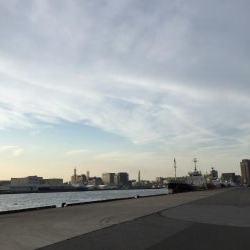 やっと釣れました