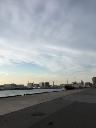 やっと釣れました