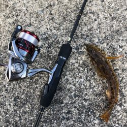 ショアジギング